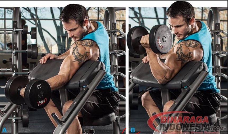 latihan-otot-bicep-preacher-dumbbell-curl