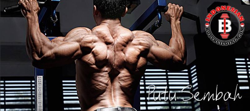 Perbedaan Gerakan Bulking dan Cutting dalam Fitnes