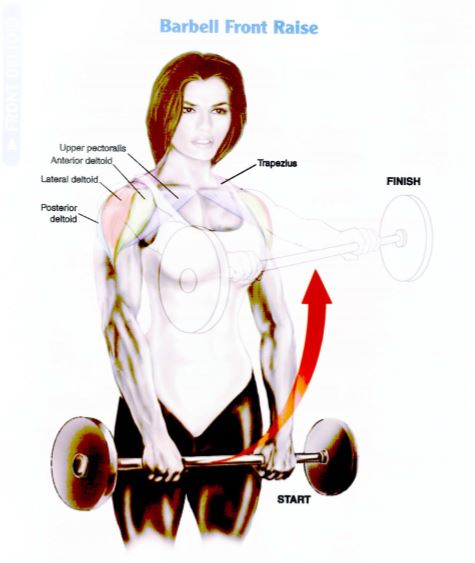 Latihan Otot Bahu Barbell Front raise 1