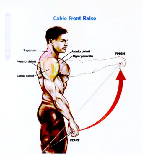 Latihan Otot Bahu Cable Front Raise