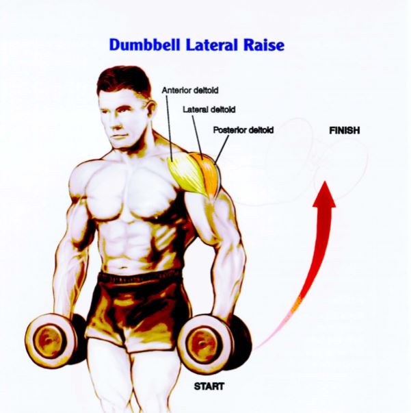 Latihan Otot Bahu Dumbbell Lateral Raise 1