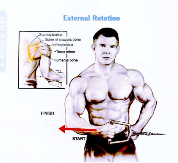 Latihan Otot Bahu External Rotation 1