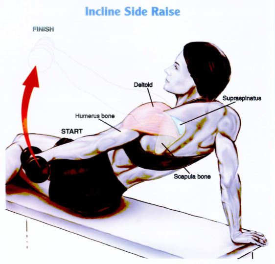 Latihan Otot Bahu Incline Side Raise