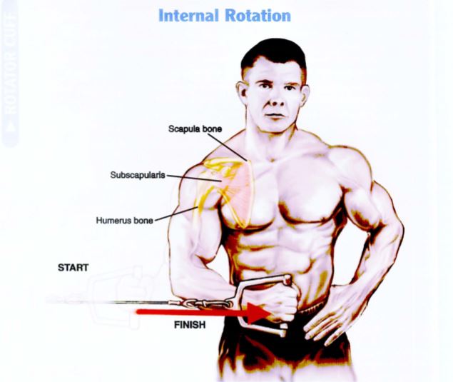 Latihan Otot Bahu Internal Rotation