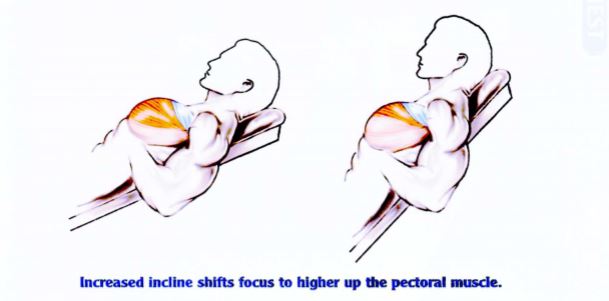 Latihan Otot Dada Incline Barbell Press 2