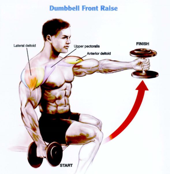 Latihan Otot bahu Dumbbell Front Raise 1