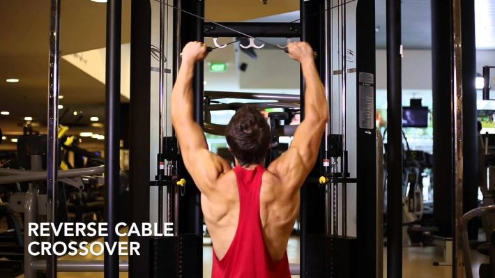 Latihan otot Bahu Reverse Cable Crossover