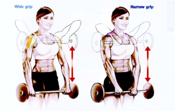 Latihan otot bahu Barbell Uprigt Row 1