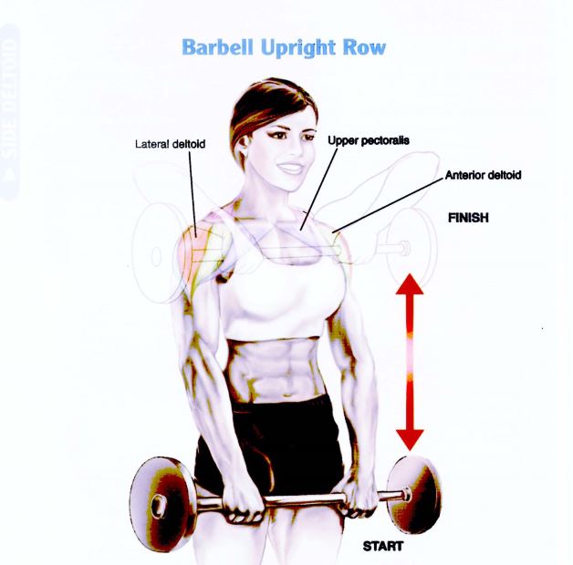 Latihan otot bahu Barbell Uprigt Row