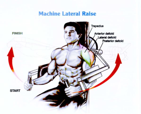 Latihan otot bahu Machine Lateral Raise