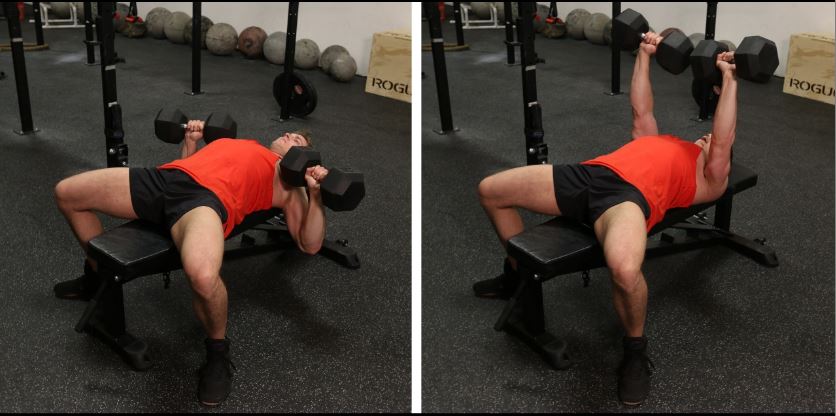 Latihan untuk Payudara agar Lebih Kencang dan Seksi Dumbbell Bench Press