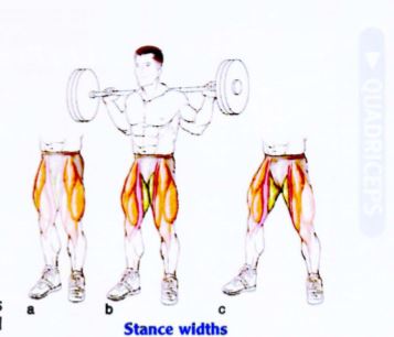 Barbell Squat untuk membentuk otot kaki 1