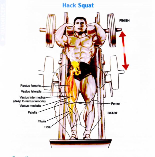 Hack Squat untuk membentk otot kaki