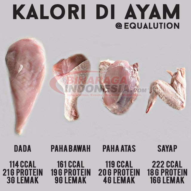 ayam